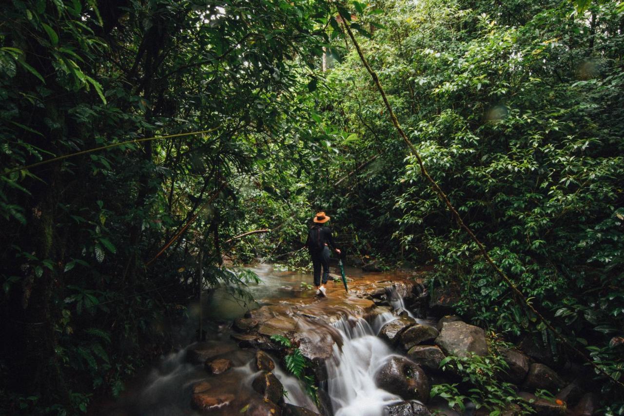 La Tigra Rainforest Lodge La Fortuna 外观 照片