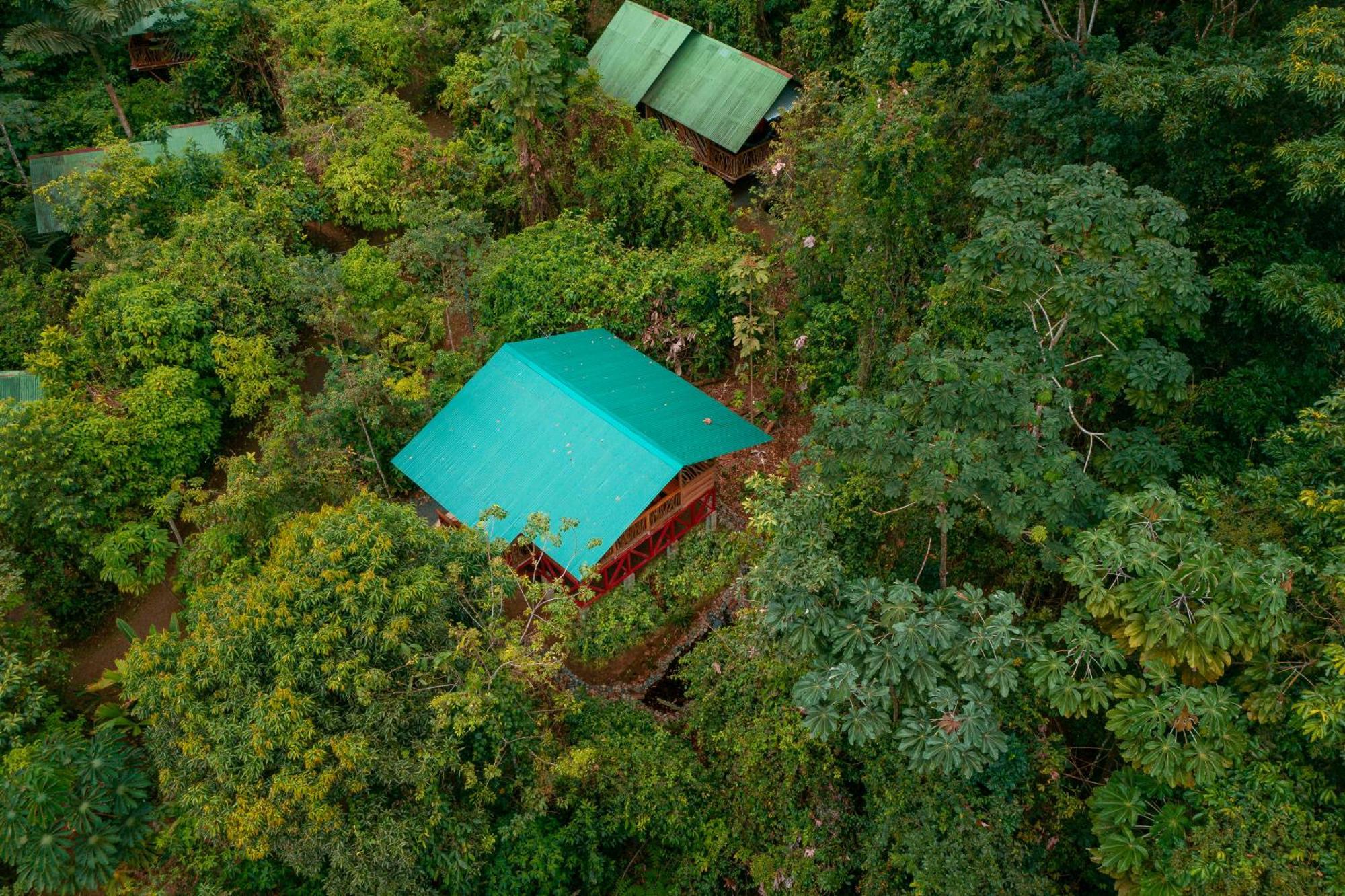 La Tigra Rainforest Lodge La Fortuna 外观 照片