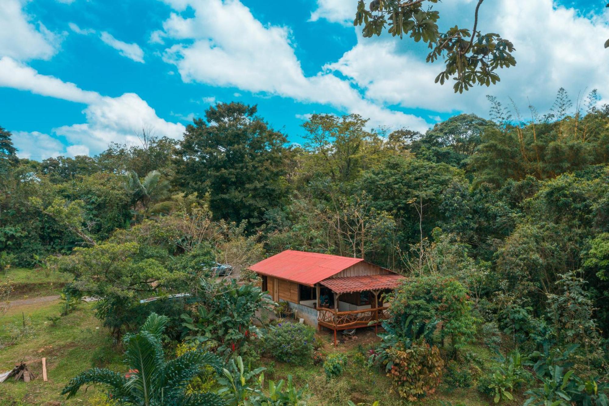 La Tigra Rainforest Lodge La Fortuna 外观 照片