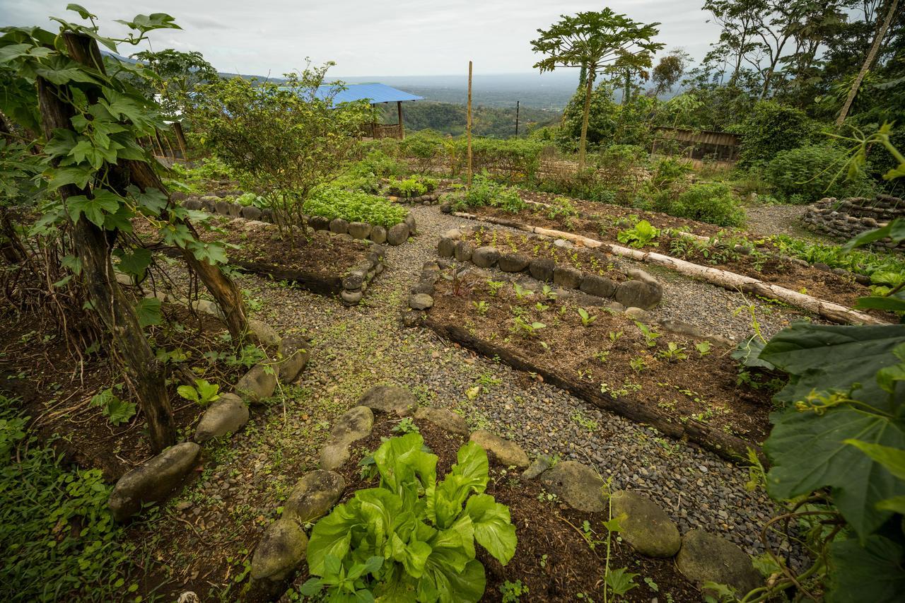 La Tigra Rainforest Lodge La Fortuna 外观 照片