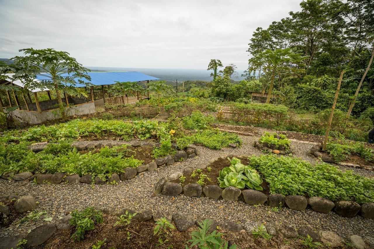 La Tigra Rainforest Lodge La Fortuna 外观 照片