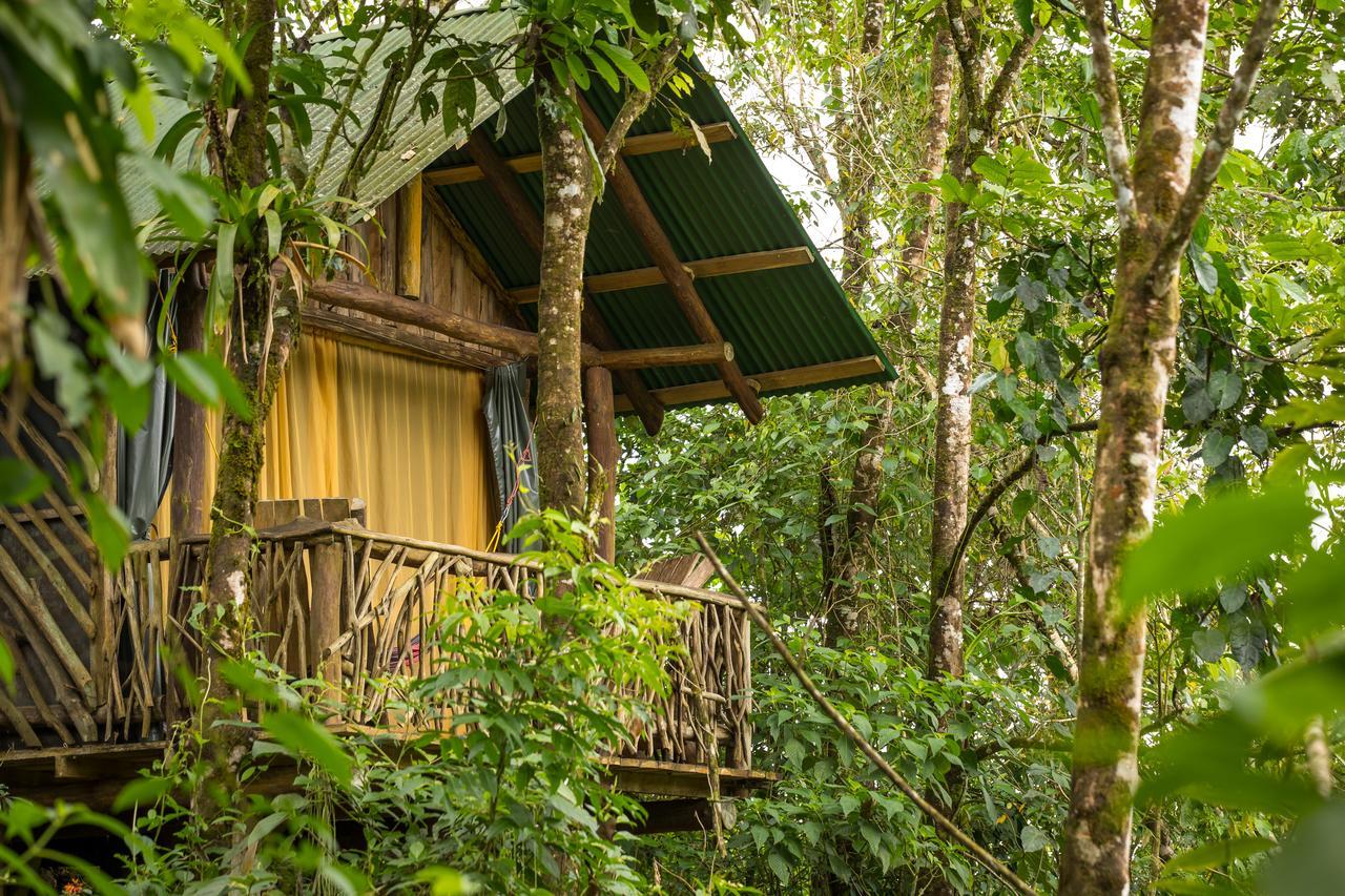 La Tigra Rainforest Lodge La Fortuna 外观 照片